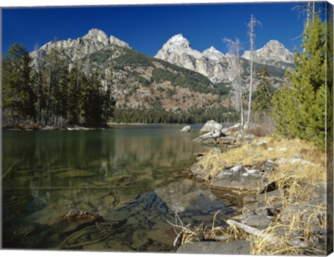 Framed Teton M Print