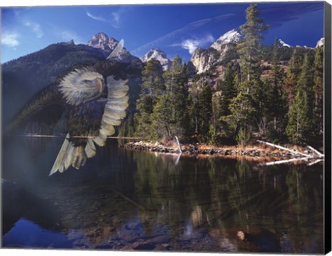 Framed Phantom Print