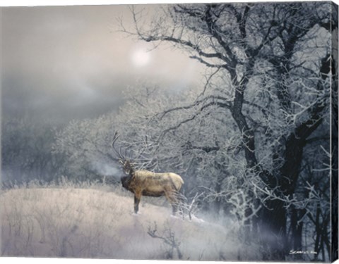 Framed Sanctuary Print