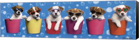 Framed Shady Pups Print