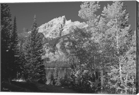 Framed Teton 4 Print