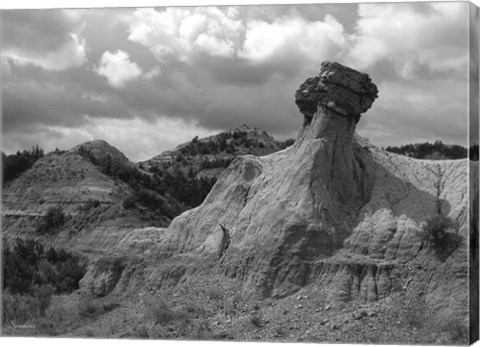 Framed Theodore Roosevelt National Print