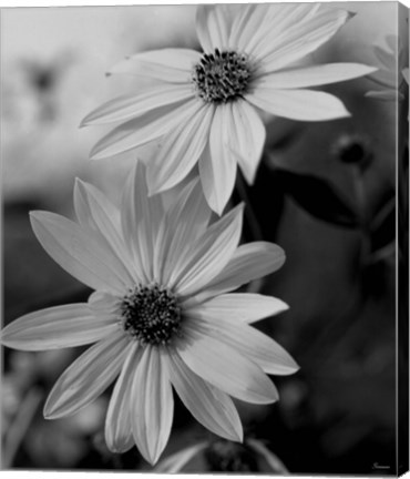 Framed Wildflowers 1 Print