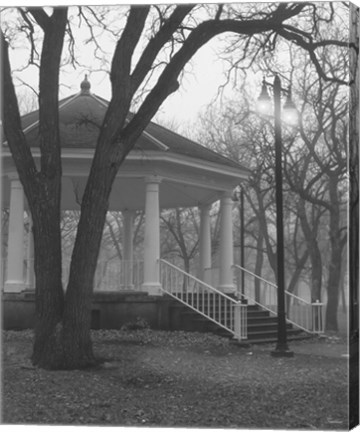 Framed Gazebo Stairs 2 Print