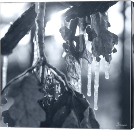 Framed Ice Branch 4 Print