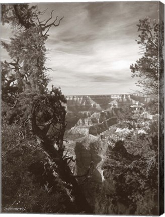 Framed Sepia Grand Canyon 2 Print