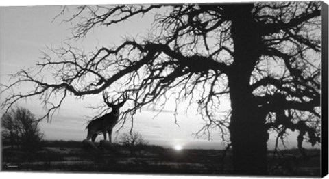 Framed Silhouette Print