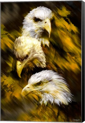 Framed Eagle Three Print