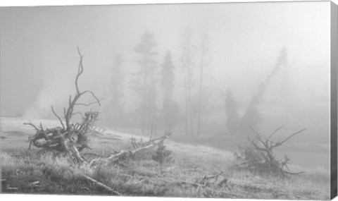 Framed Yellowstone 3 Print