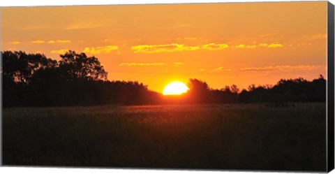 Framed Shades Of Nature Sunset Print