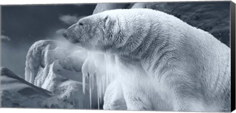 Framed Arctic Frost Print