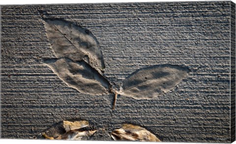 Framed Cement Autumn 1335 Print