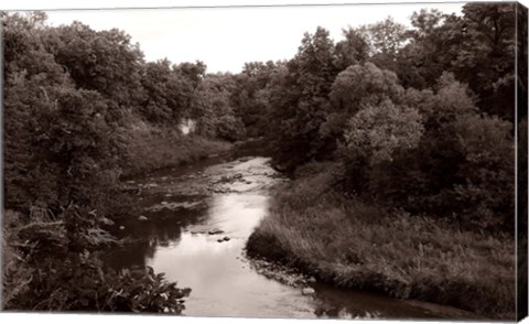 Framed Buffalo River 2 Print