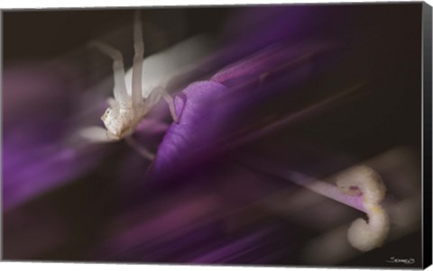 Framed Natural Motif IV Print