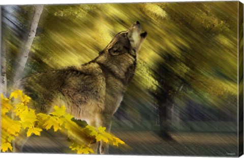 Framed Howling Wolf Print