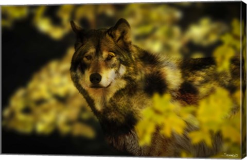 Framed Gold Shadows Print