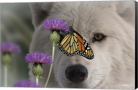 Framed Monarch and Wolf Print