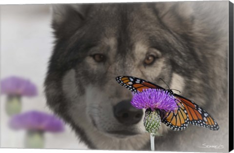 Framed Monarch and Wolf II Print