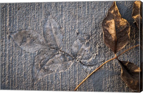 Framed Cement Autumn 139 Print