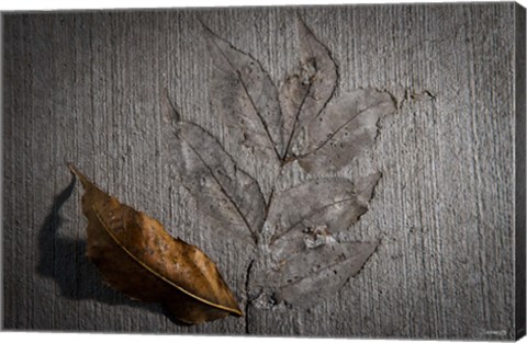 Framed Cement Autumn 1283 Print