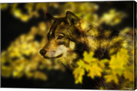 Framed Gold Shadows 2 Print