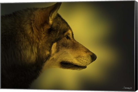 Framed Wolf Profile In Orange Fall Leaves Print