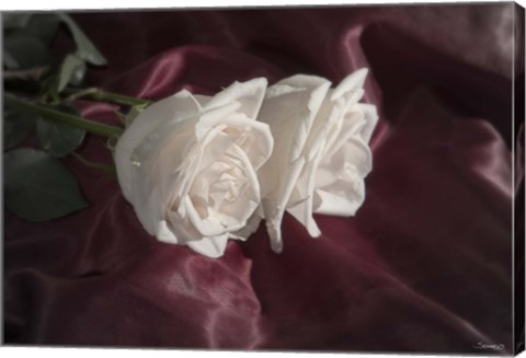 Framed White Rose Duo Print