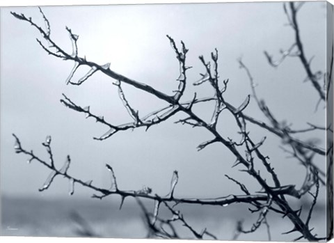 Framed Ice Branch 2 Print