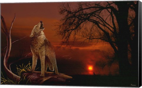 Framed Spirit And The Darkness Print