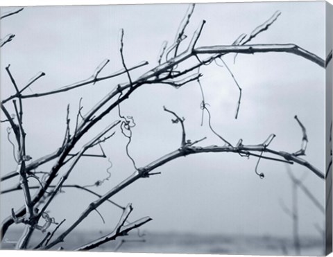 Framed Ice Branch 1 Print