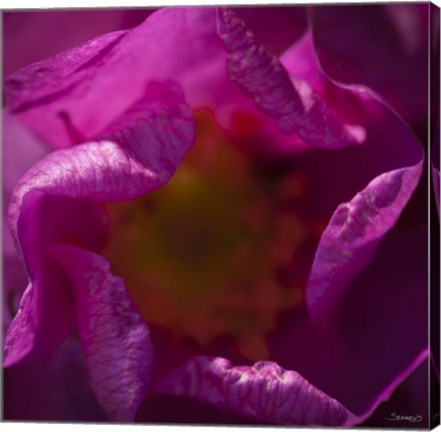 Framed Pink Flower Interior Print