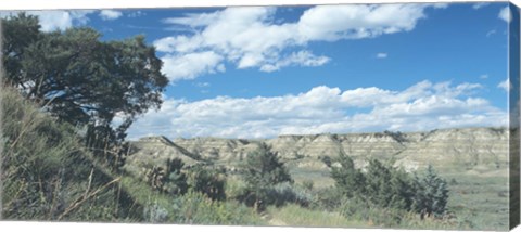 Framed Theodore Roosevelt National Park 9 Print