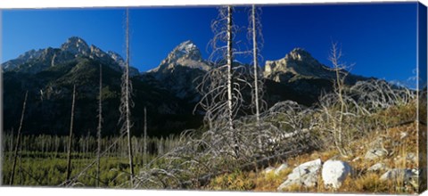 Framed Grand Teton 8 Print