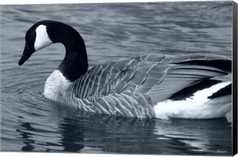 Framed S Goose Print