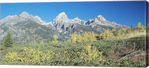 Framed Grand Teton 15 Print