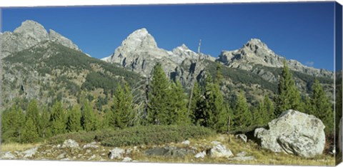 Framed Grand Teton 13 Print