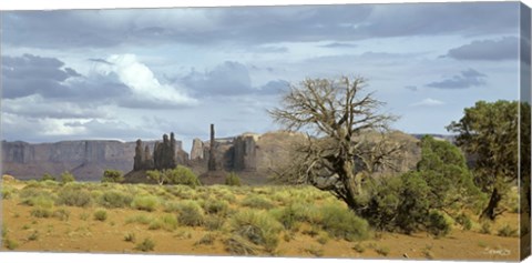 Framed Monument Valley 9 Print