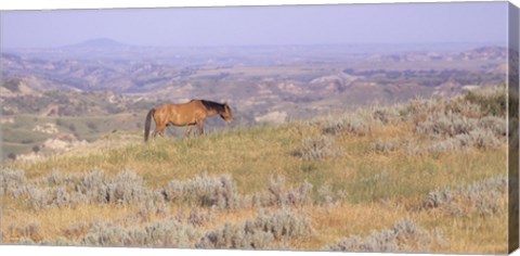 Framed Wild Horses 14 Print