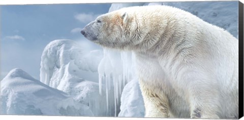 Framed Arctic Frost Bear Print