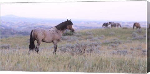 Framed Wild Horses 23 Print