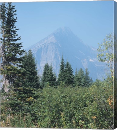 Framed Misty Blue Mountains Print