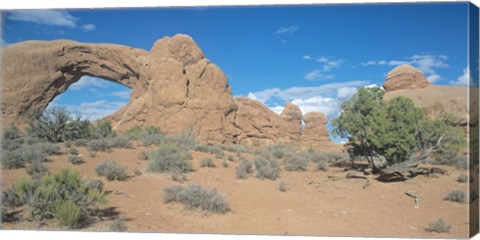 Framed Arches 21 Print