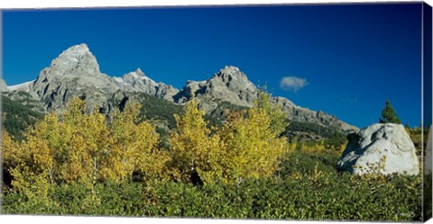 Framed Grand Teton 10 Print