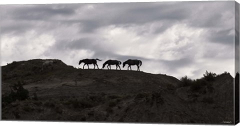 Framed Horse Silhouettes Under Clouded Sky Print
