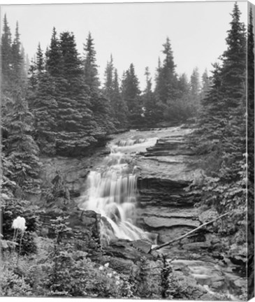 Framed Waterfall Over Rock With Wildflowers Print