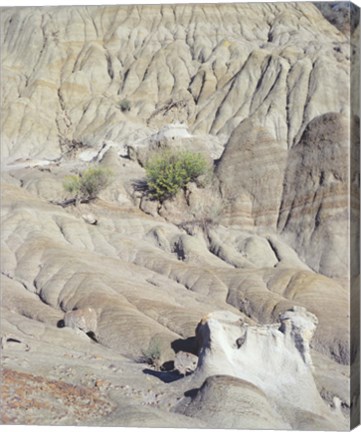 Framed Theodore Roosevelt National Park 29 Print
