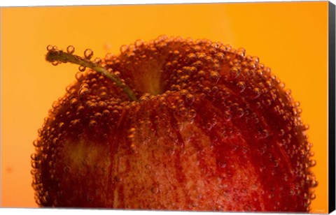 Framed Red Fruit And Water Droplets Print