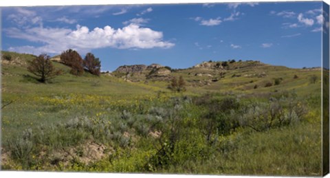 Framed Yellow Wildflowers And Mountains Print