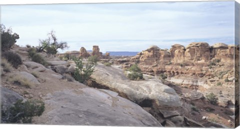 Framed Canyonland 11 Print