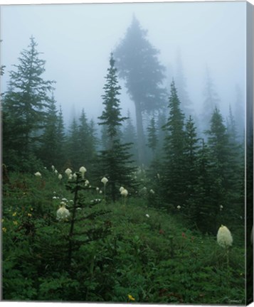 Framed Misty Green Trees And Field II Print